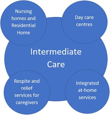 Intermediate care in caring for dementia, the point of view of general practitioners: A key informant survey across Europe